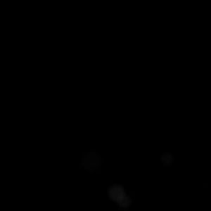 Meet your Posher, Delia